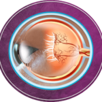 ROP-icon-updated-150×150.png
